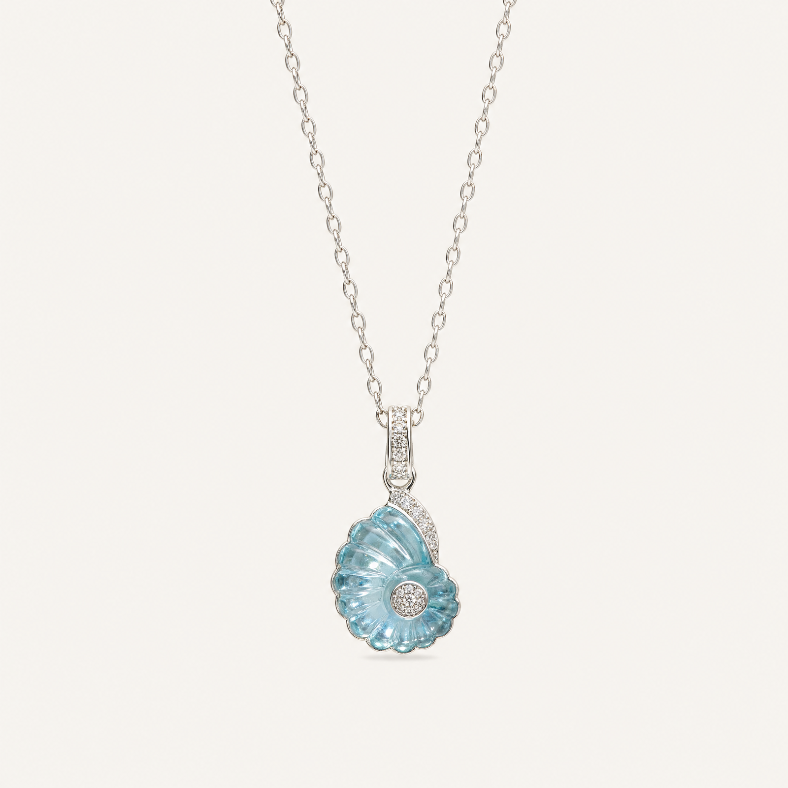 Conque Shell Set