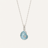 Conque Shell Set
