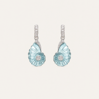 Conque Shell Set