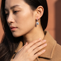 Carré Luxe Ear Hooks